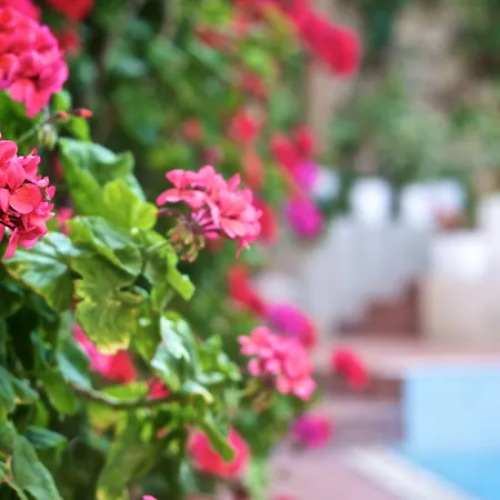 Fortezza Hotel 3*
